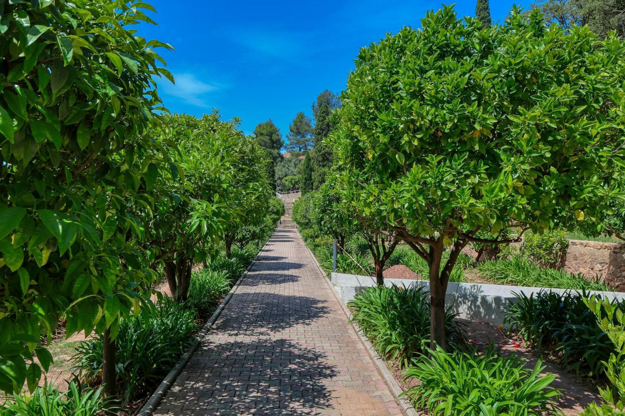 Отель Domaine Des Gueules Cassees Ла-Валетт-дю-Вар Экстерьер фото